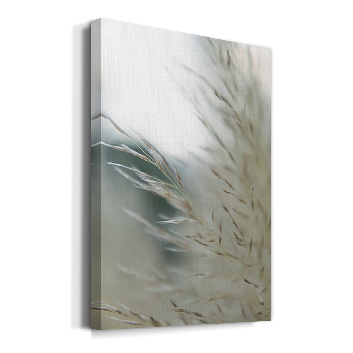 Subtle Grasses II Premium Gallery Wrapped Canvas - Ready to Hang