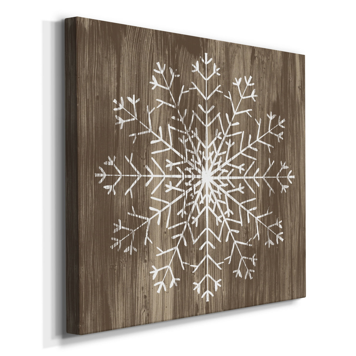 Barnwood Wonderland III-Premium Gallery Wrapped Canvas - Ready to Hang