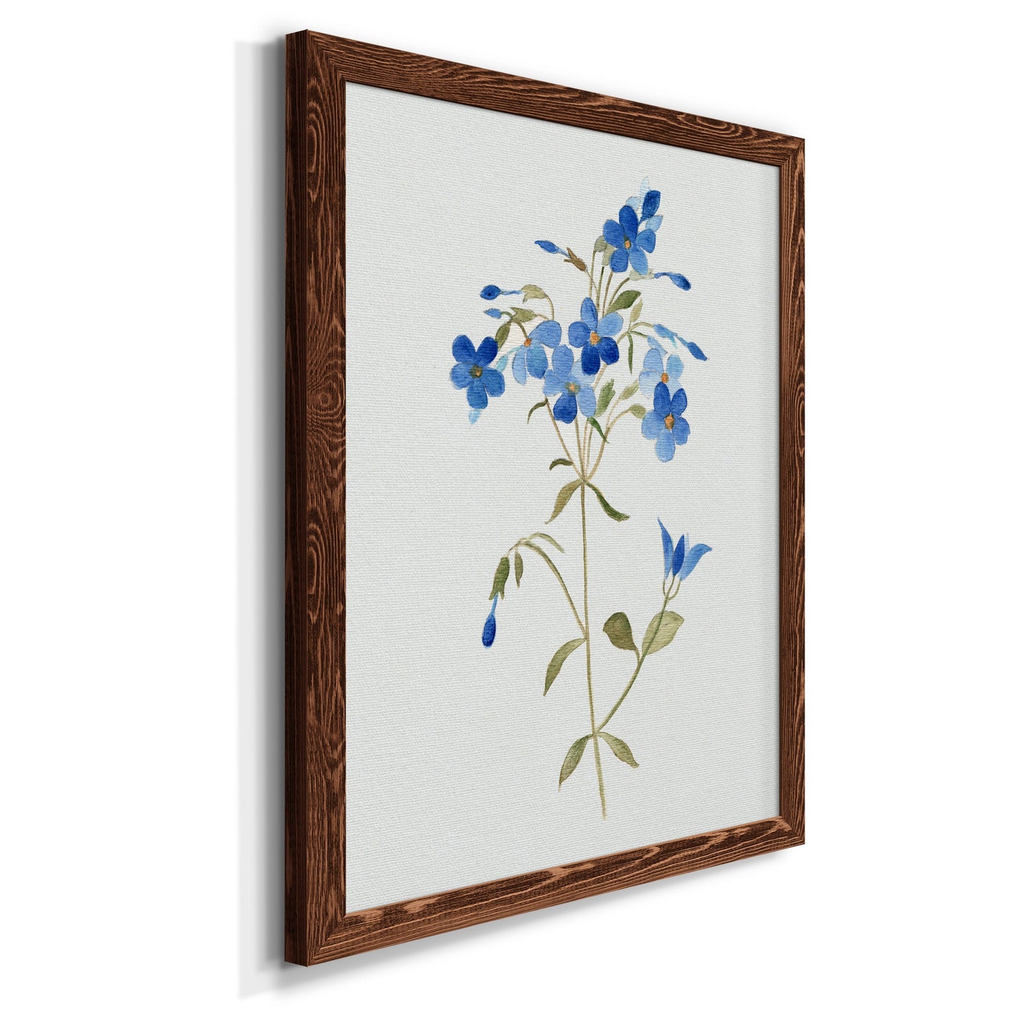 Blue Blossom Botanical II - Premium Canvas Framed in Barnwood - Ready to Hang