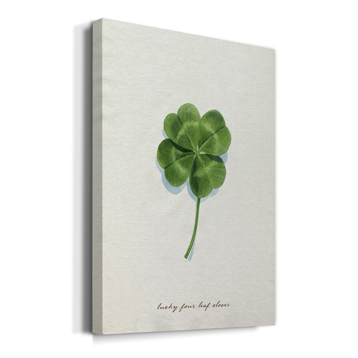 Lucky Charm I Premium Gallery Wrapped Canvas - Ready to Hang