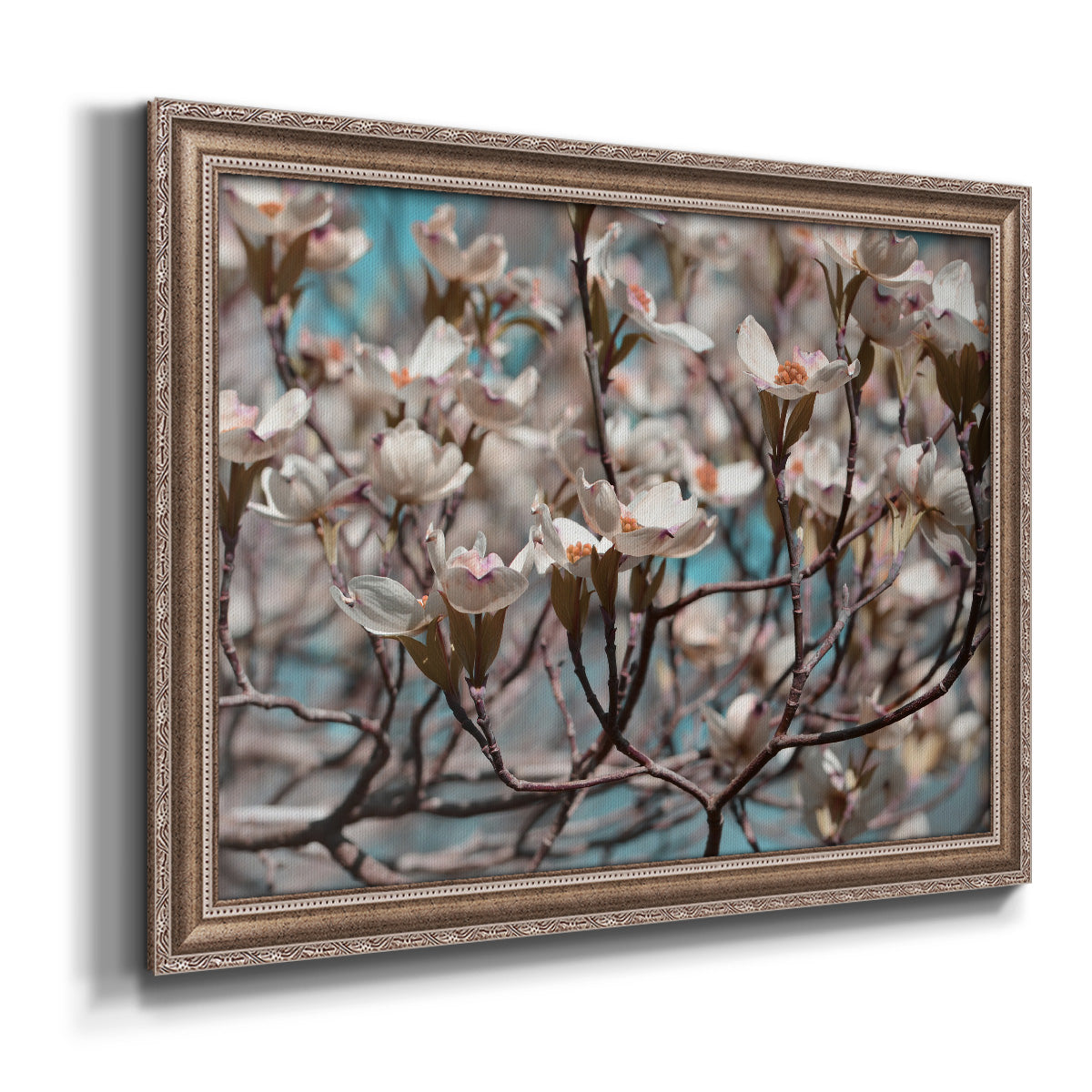 Dogwood Spring I Premium Framed Canvas- Ready to Hang