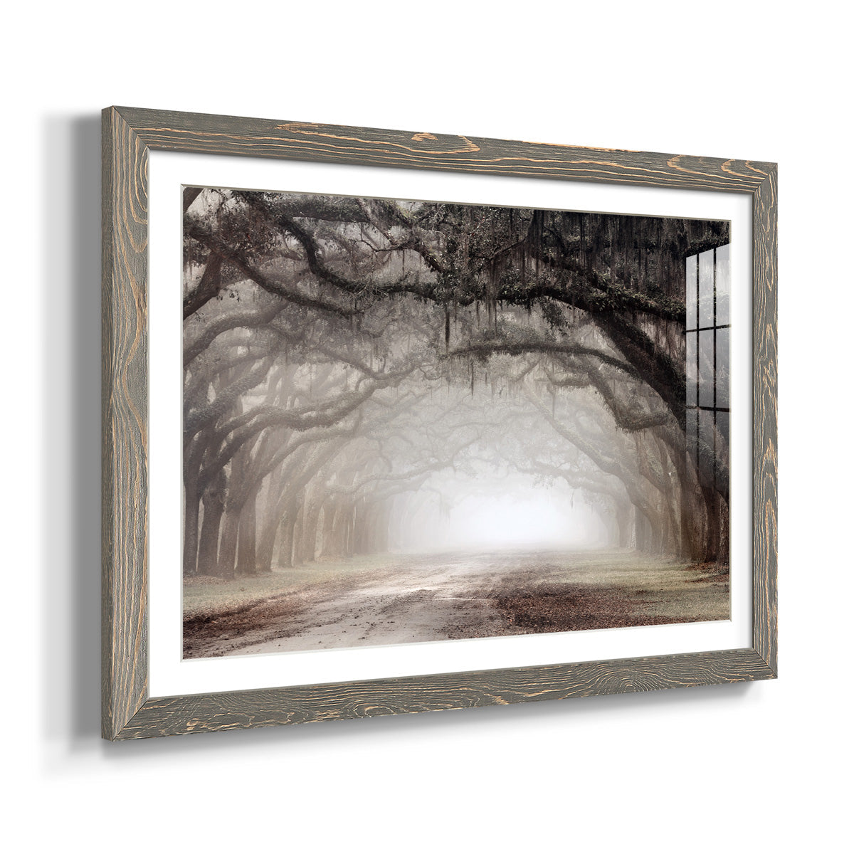 Timeless Plantation Drive - Barnwood Framed Art Print