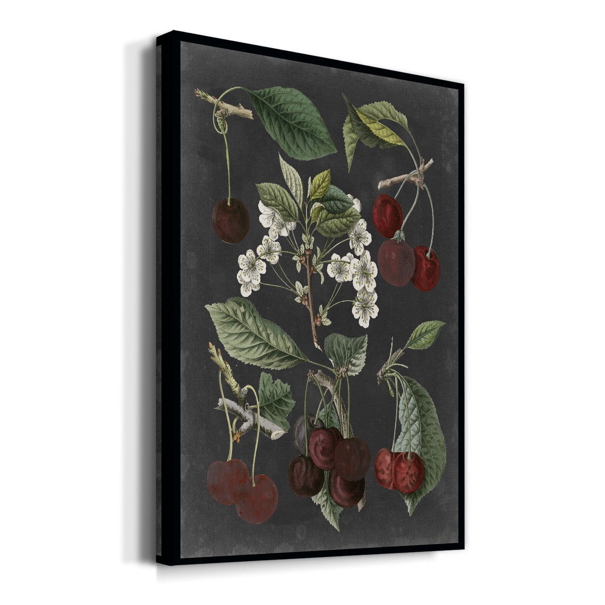 Orchard Varieties I Premium Gallery Wrapped Canvas - Ready to Hang