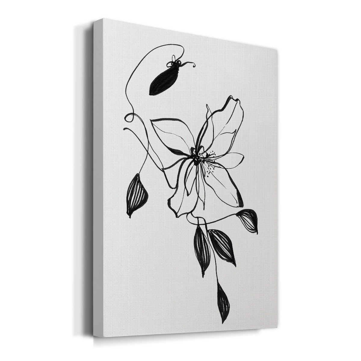 Wild Clematis I Premium Gallery Wrapped Canvas - Ready to Hang