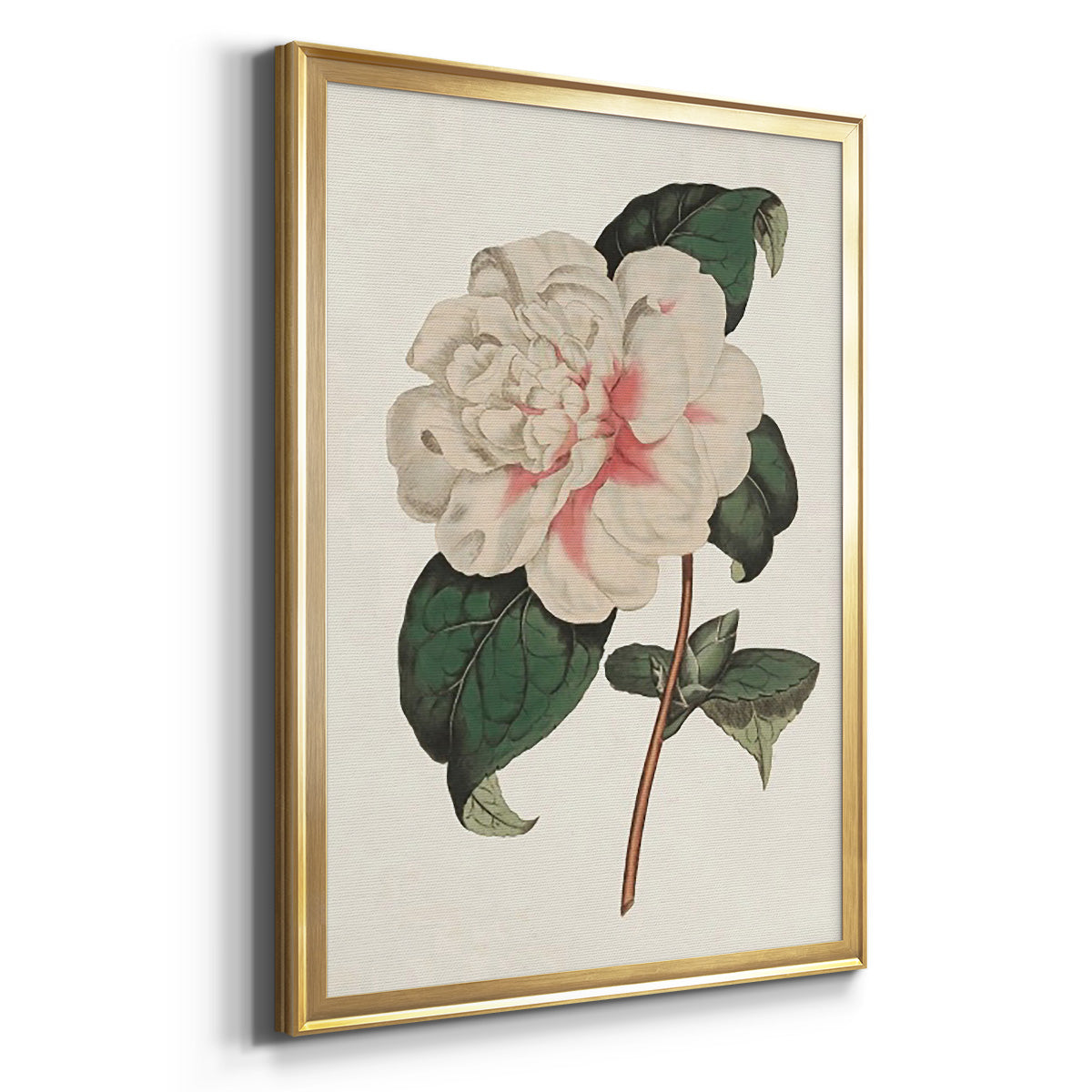 Pink Floral Mix VIII - Modern Framed Canvas Print