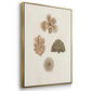 Knorr Shells & Coral VI - Framed Premium Gallery Wrapped Canvas L Frame 3 Piece Set - Ready to Hang