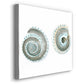 Watercolor Shells IV-Premium Gallery Wrapped Canvas - Ready to Hang