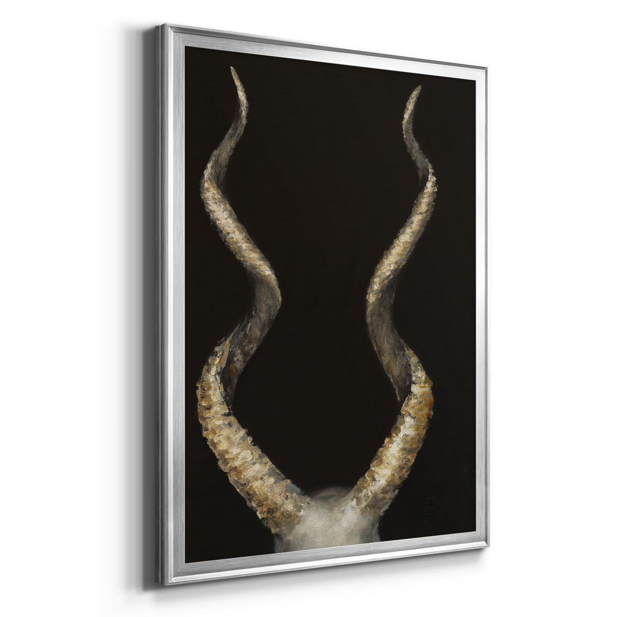 Spiral Antelope Horns -  Framed Canvas Print