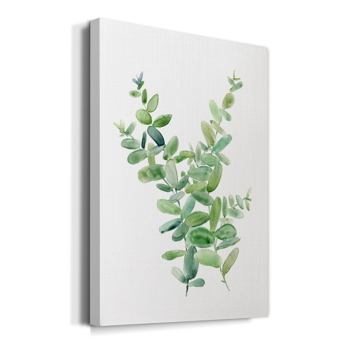 Eucalyptus III Premium Gallery Wrapped Canvas - Ready to Hang