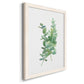 Eucalyptus I - Premium Canvas Framed in Barnwood - Ready to Hang