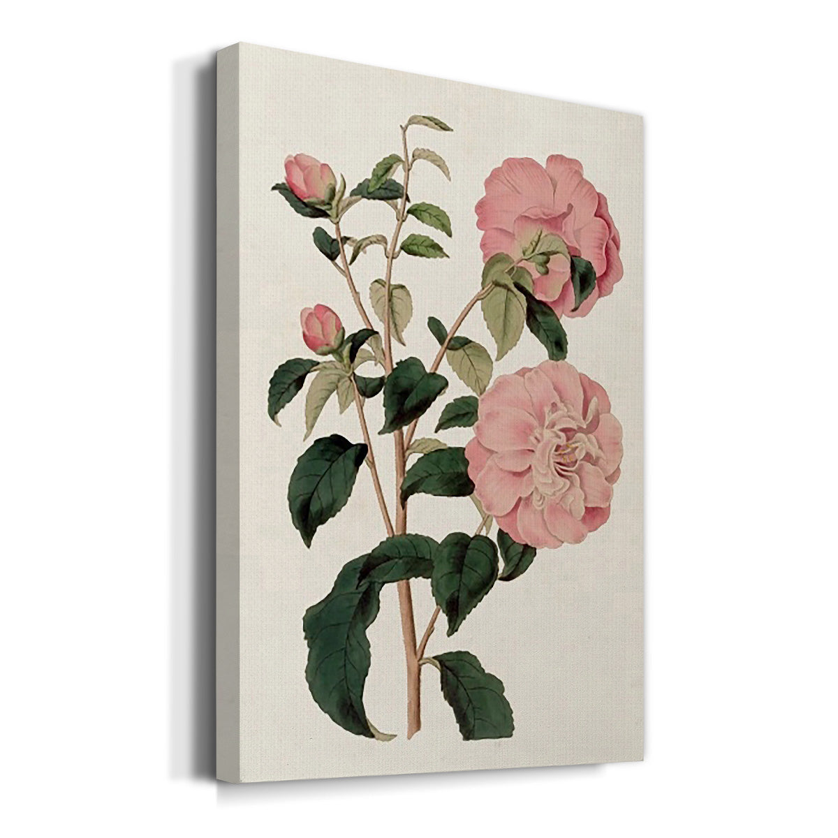 Pink Floral Mix IV - Canvas Art Print