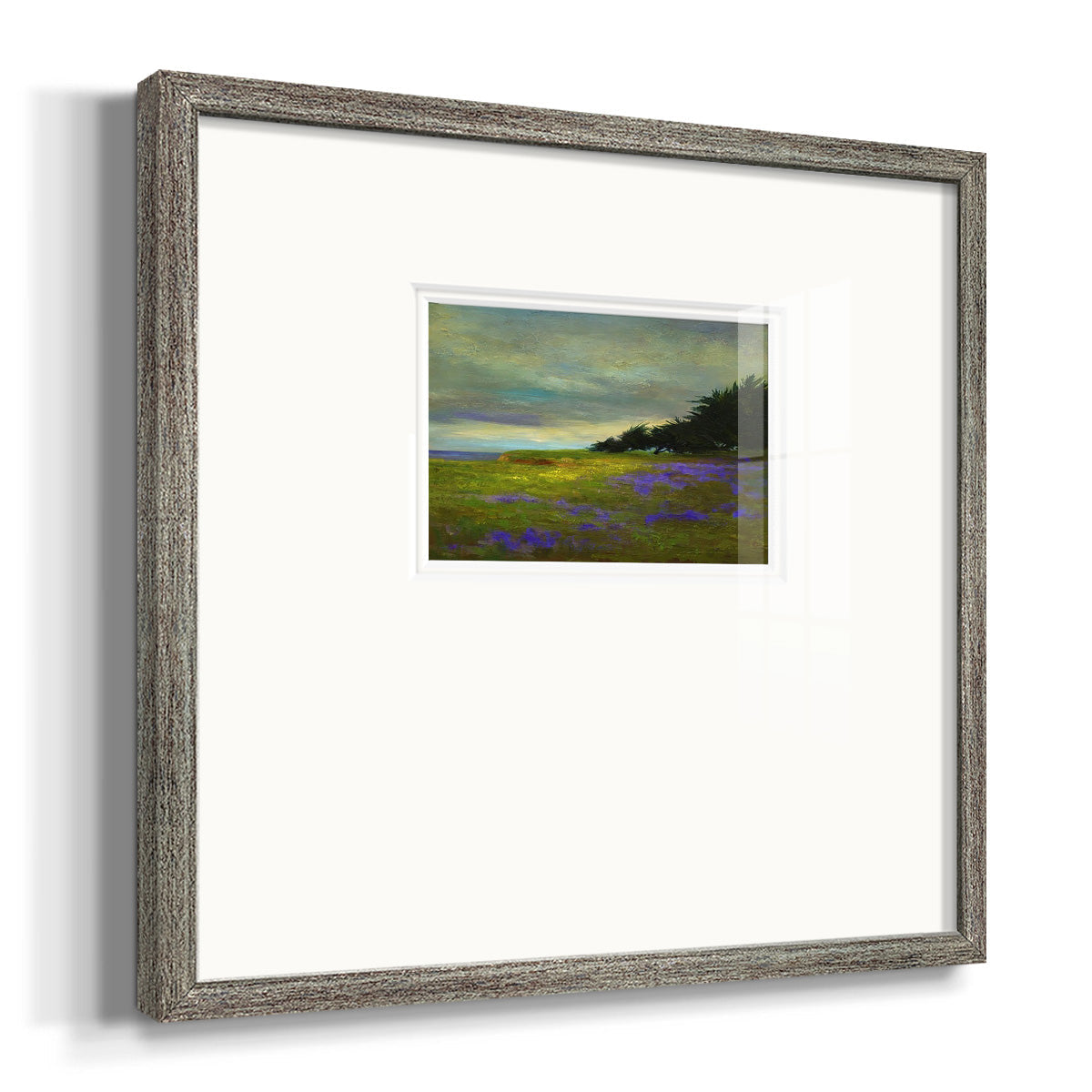 Coastal Views VI Premium Framed Print Double Matboard