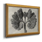 Blossfeldt Botanical VIII Premium Framed Canvas- Ready to Hang