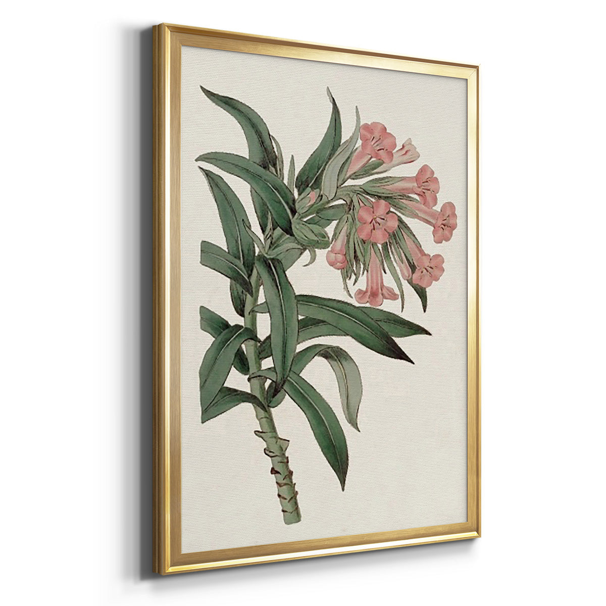 Pink Floral Mix VI - Modern Framed Canvas Print