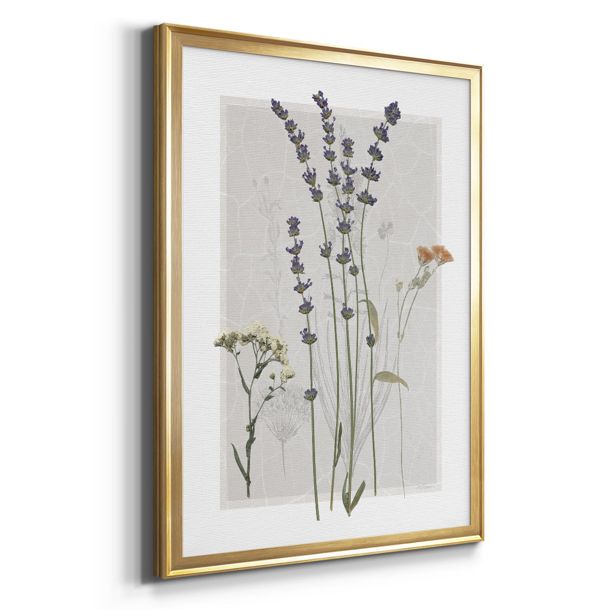 Field Study Page I - Modern Framed Canvas Print