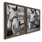 Angled view of a set of two walnut barnwood framed canvas prints featuring two modern equestrian photography featuring black-and-white close-up portraits of horses at fences.