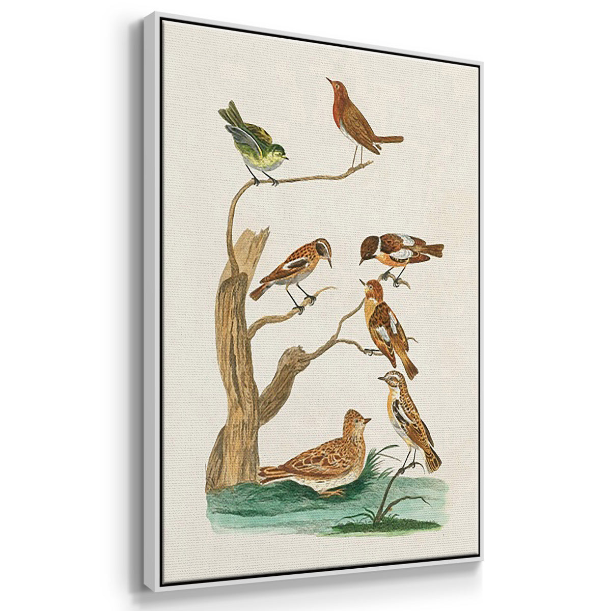 Antique Birds in Nature I - Framed Premium Gallery Wrapped Canvas L Frame 3 Piece Set - Ready to Hang