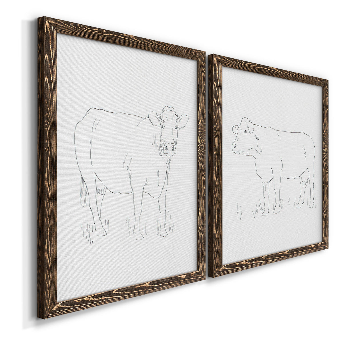 Angled view of a set of two walnut barnwood framed canvas prints featuring two minimalist livestock sketches featuring simple contour drawings of standing cows.