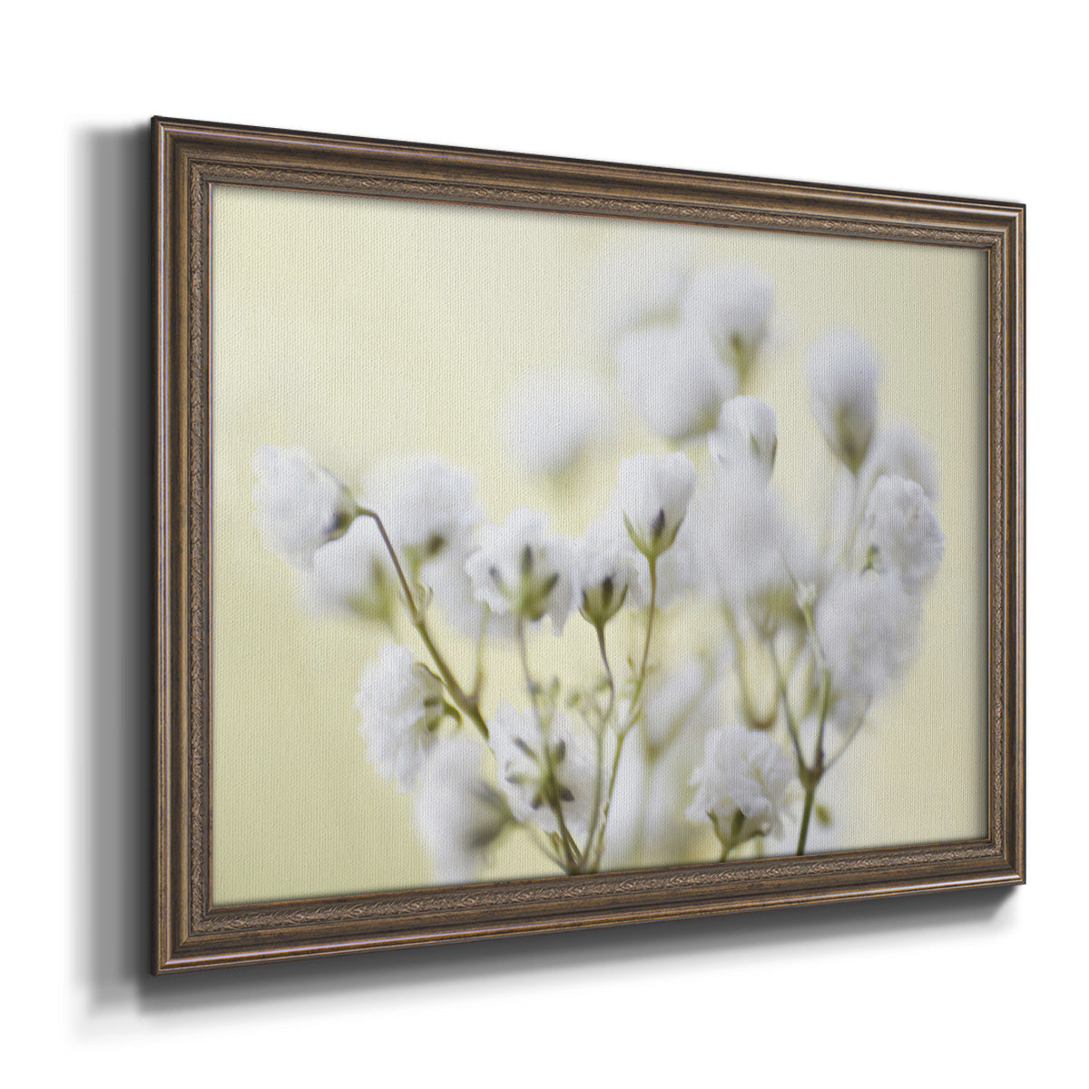 Baby's Breath Study IV Premium Framed Canvas- Ready to Hang