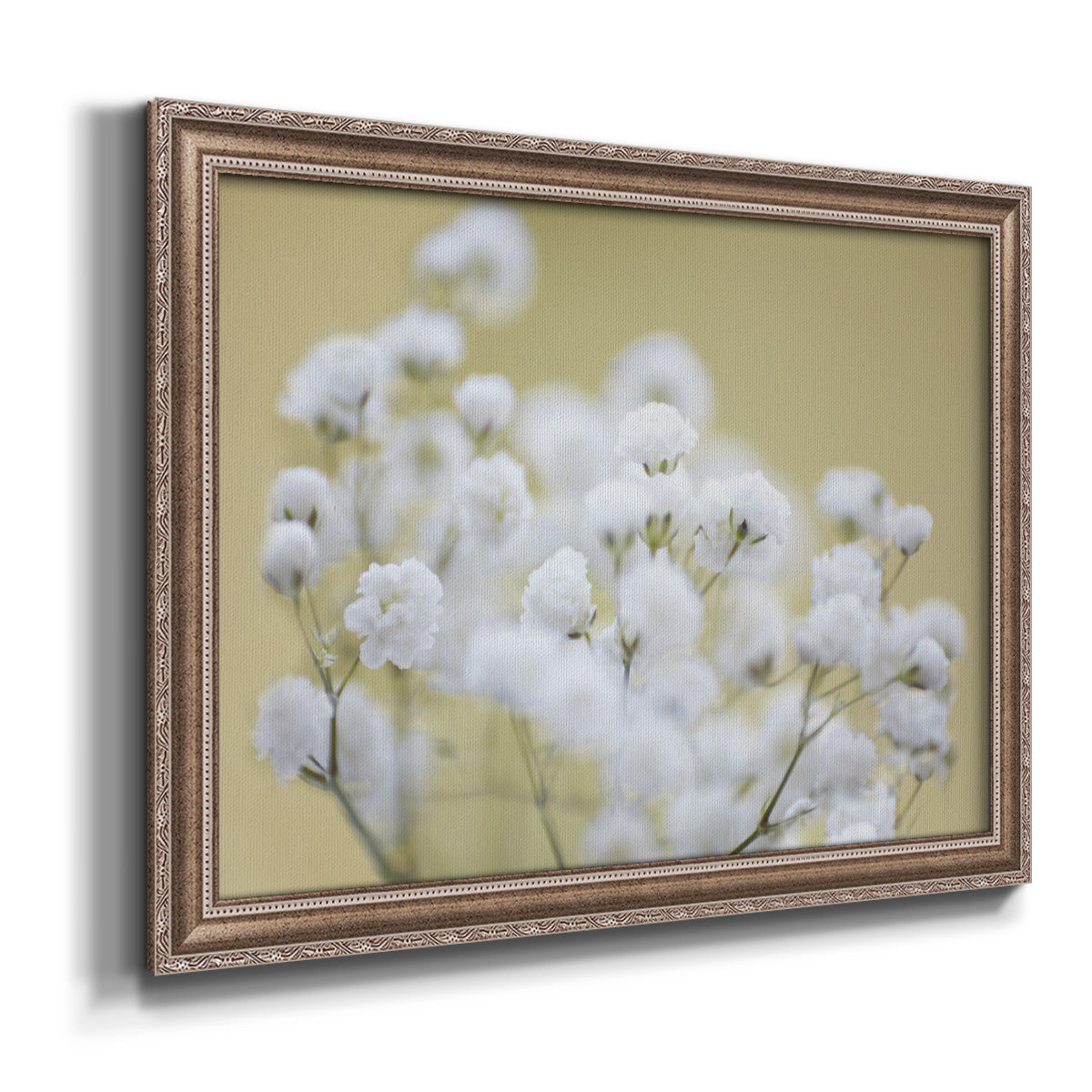 Baby's Breath Study III Premium Framed Canvas- Ready to Hang