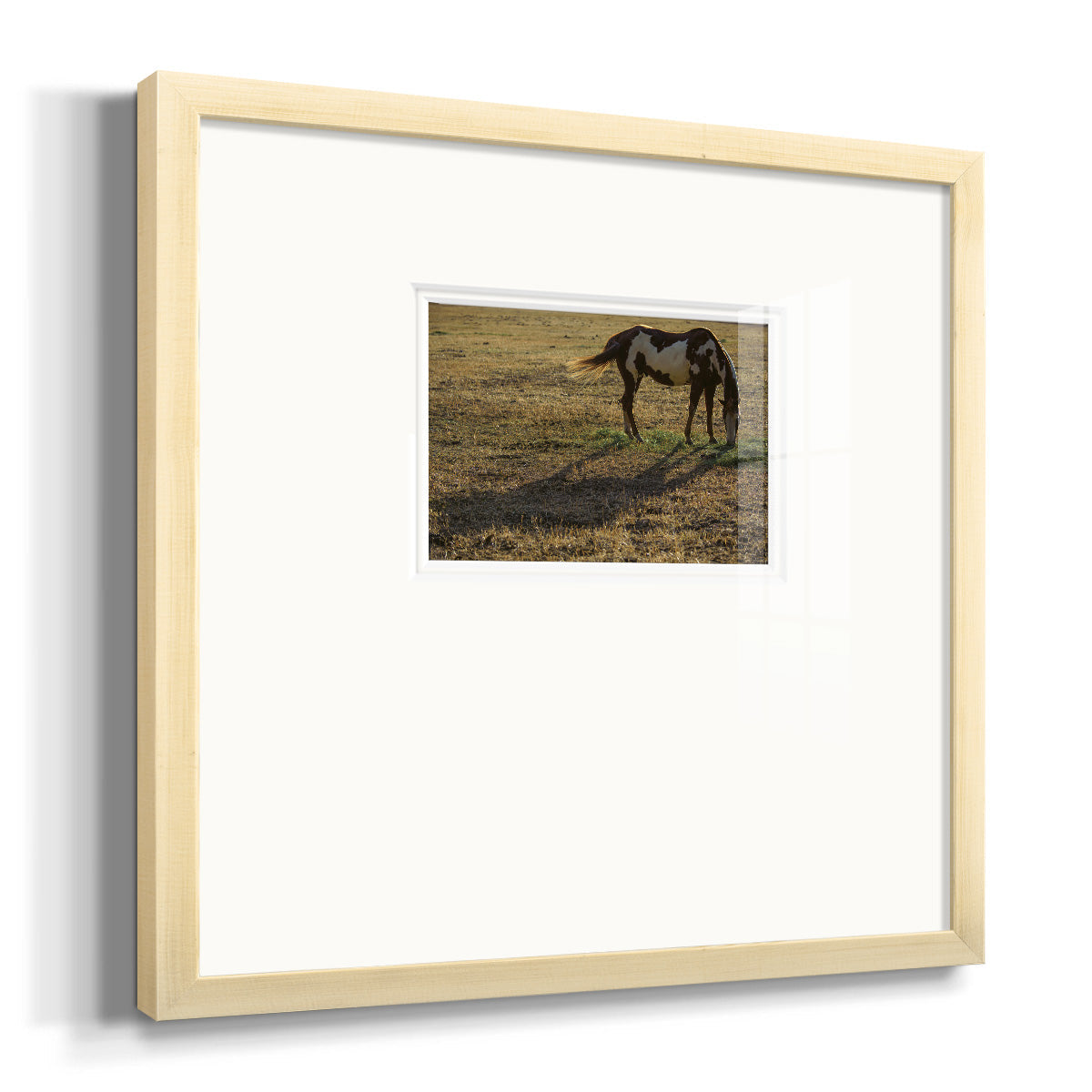 Long Shadow Premium Framed Print Double Matboard