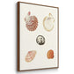 Pastel Knorr Shells VI - Framed Premium Gallery Wrapped Canvas L Frame 3 Piece Set - Ready to Hang