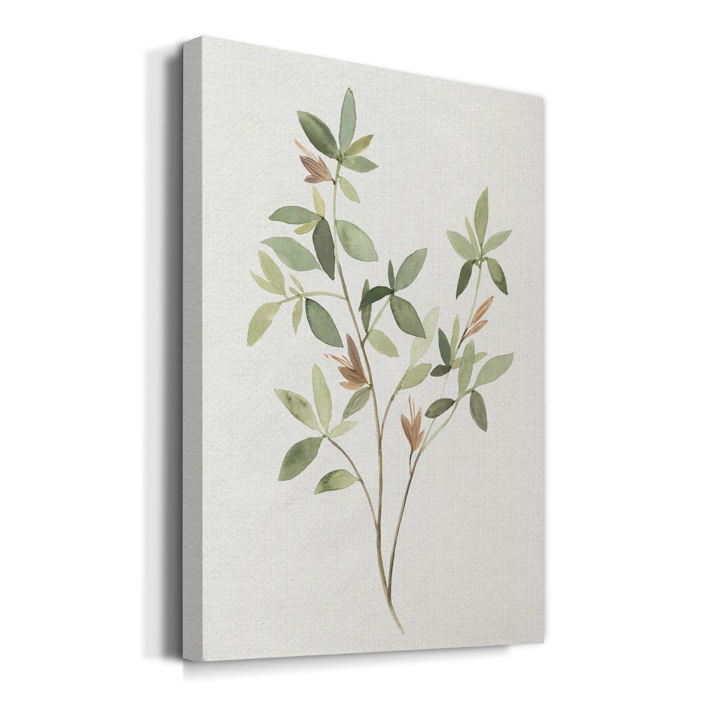 Single Sprig I Premium Gallery Wrapped Canvas - Ready to Hang