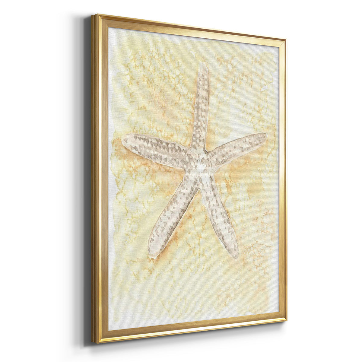 Salty Seashell I - Modern Framed Canvas Print