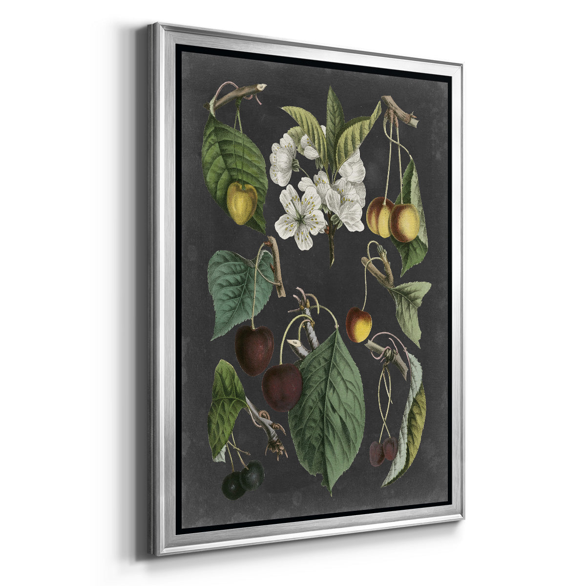 Orchard Varieties II - Modern Framed Canvas Print