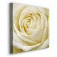 Wall Flower III-Premium Gallery Wrapped Canvas - Ready to Hang