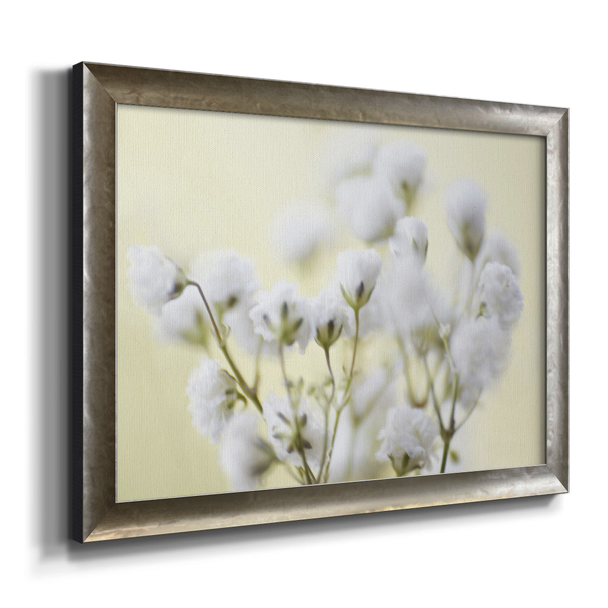 Baby's Breath Study IV Premium Framed Canvas- Ready to Hang