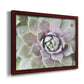 Succulent Glow II - Ornate Framed Canvas Print