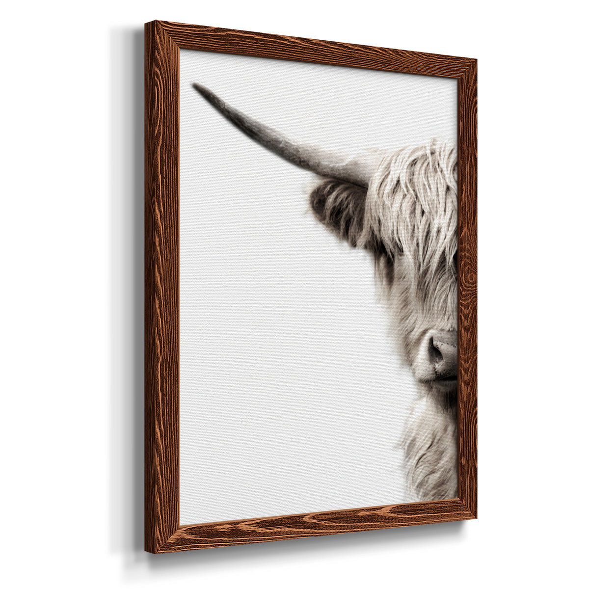 Highland Cattle - Premium Canvas Framed in Barnwood - Ready to Hang