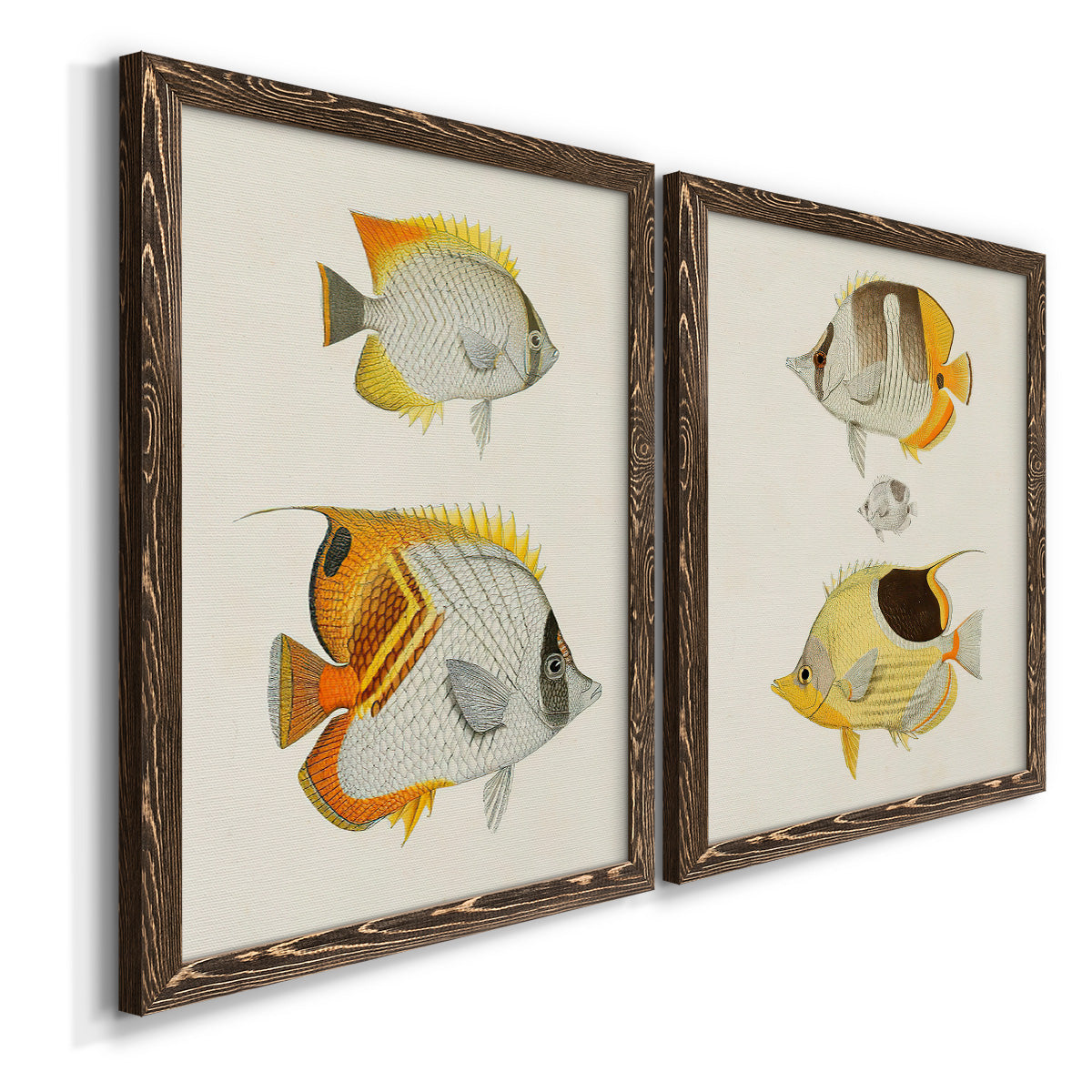 Yellow & Grey Fish I - Premium Framed Canvas 2 Piece Set - Ready to Hang