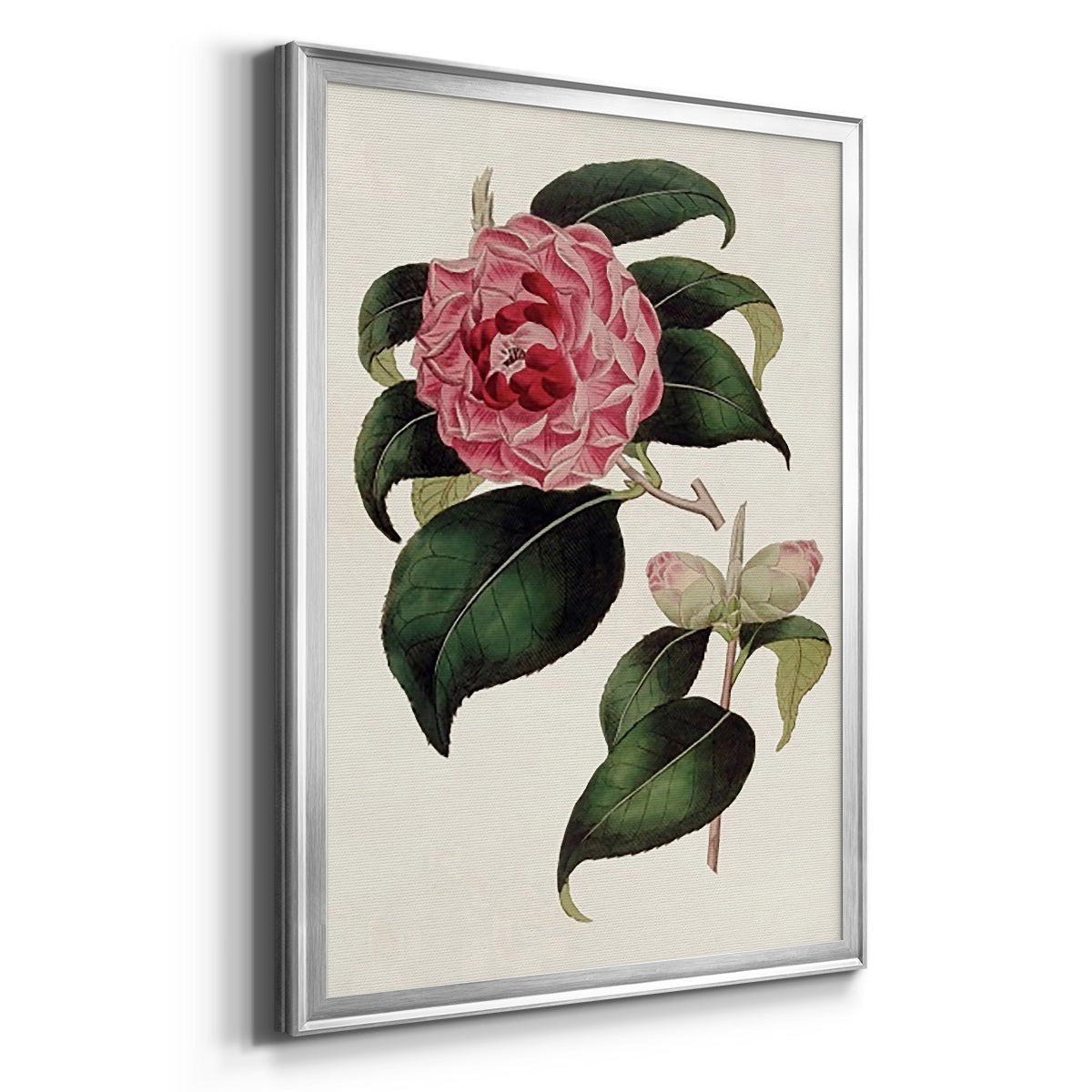 Pink Floral Mix III - Modern Framed Canvas Print
