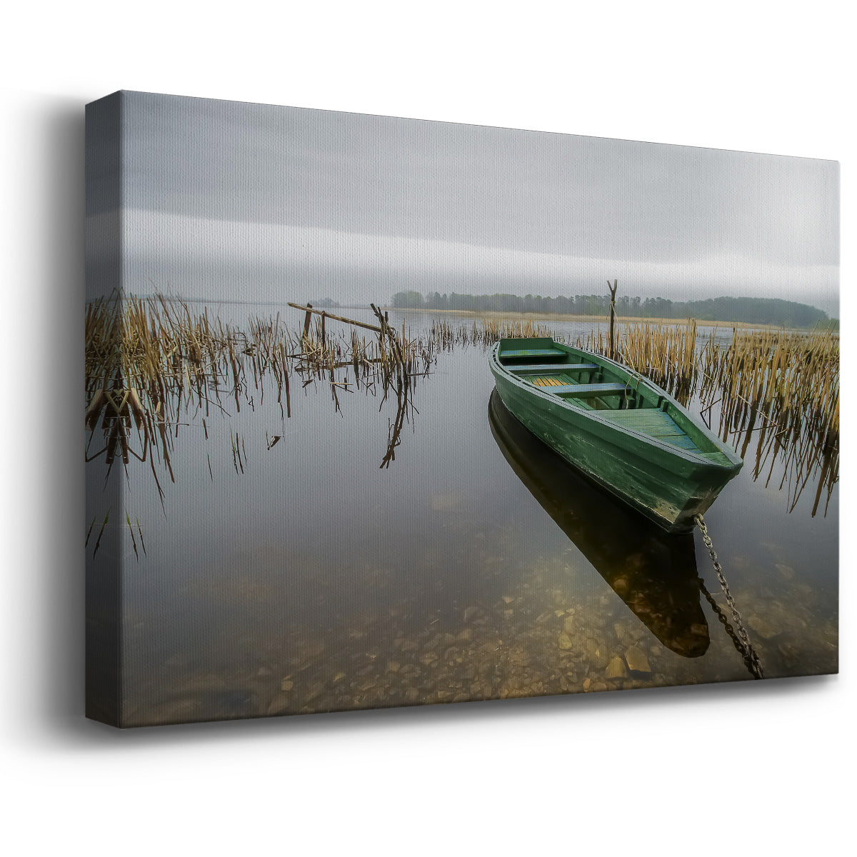 Green One Premium Gallery Wrapped Canvas - Ready to Hang