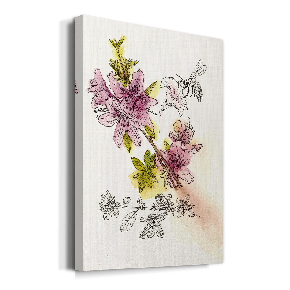 Floral Field Notes I - Canvas Art Print