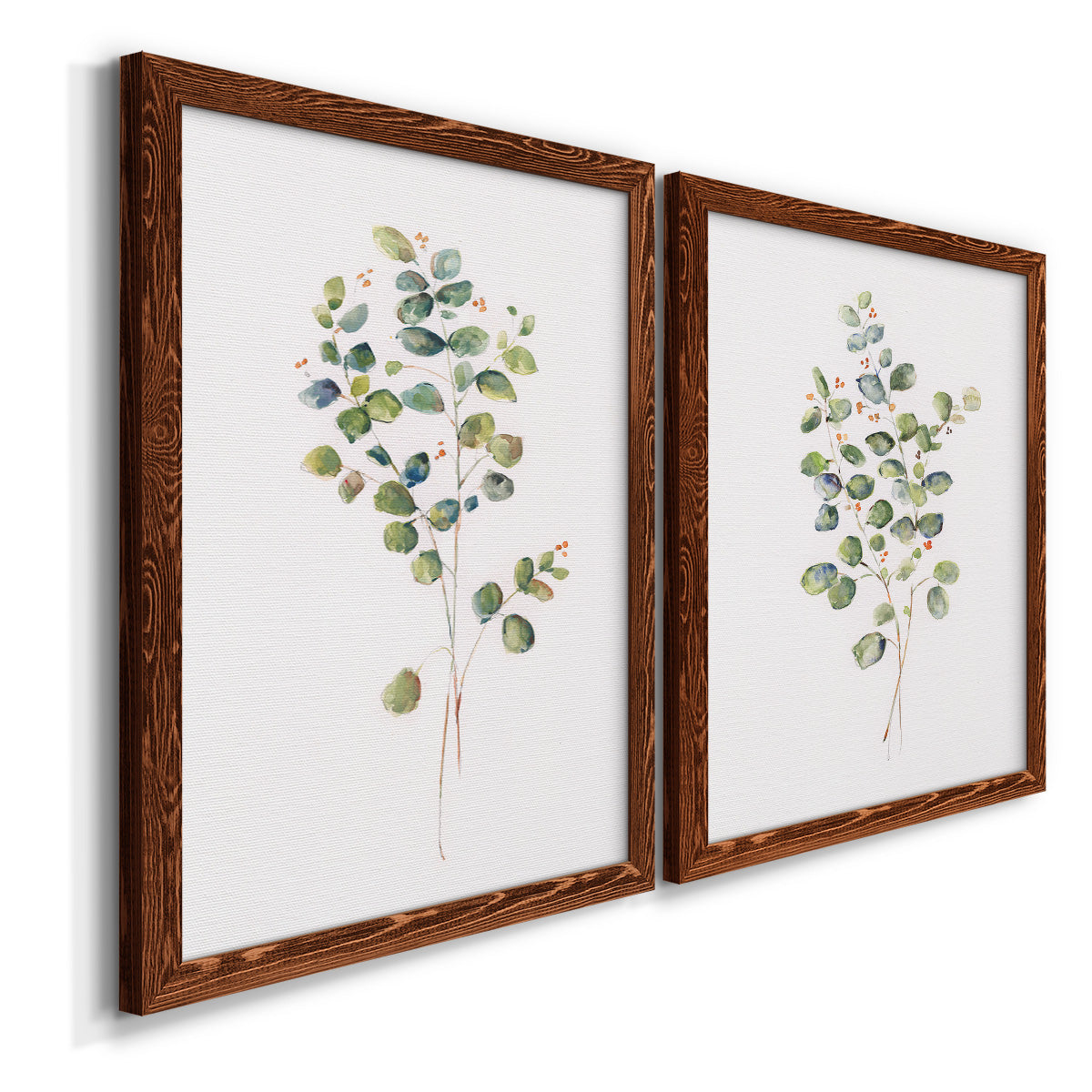 Eucalyptus I   - Premium Framed Canvas 2 Piece Set - Ready to Hang