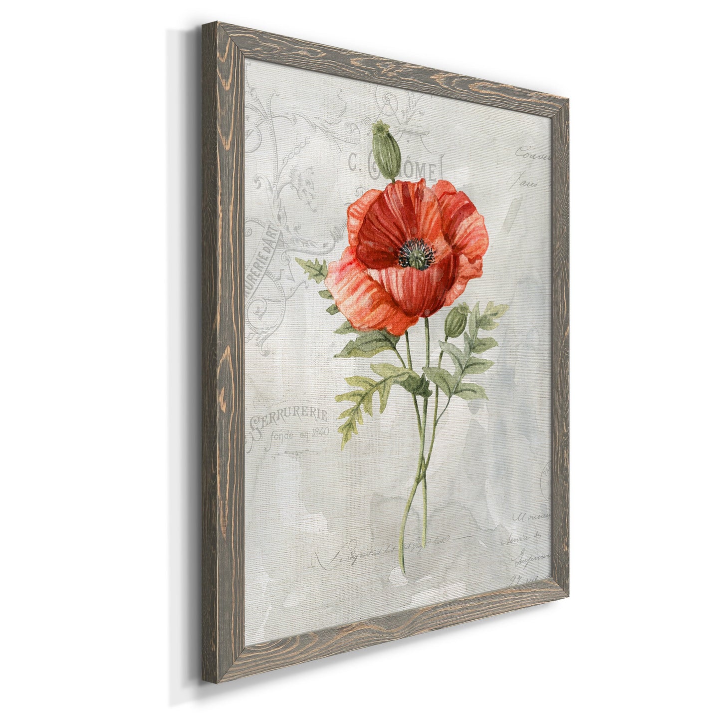 Linen Poppy - Premium Canvas Framed in Barnwood - Ready to Hang