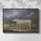 A Border Leicester Ewe, c. 1795-1800 - Floater Framed Canvas Print