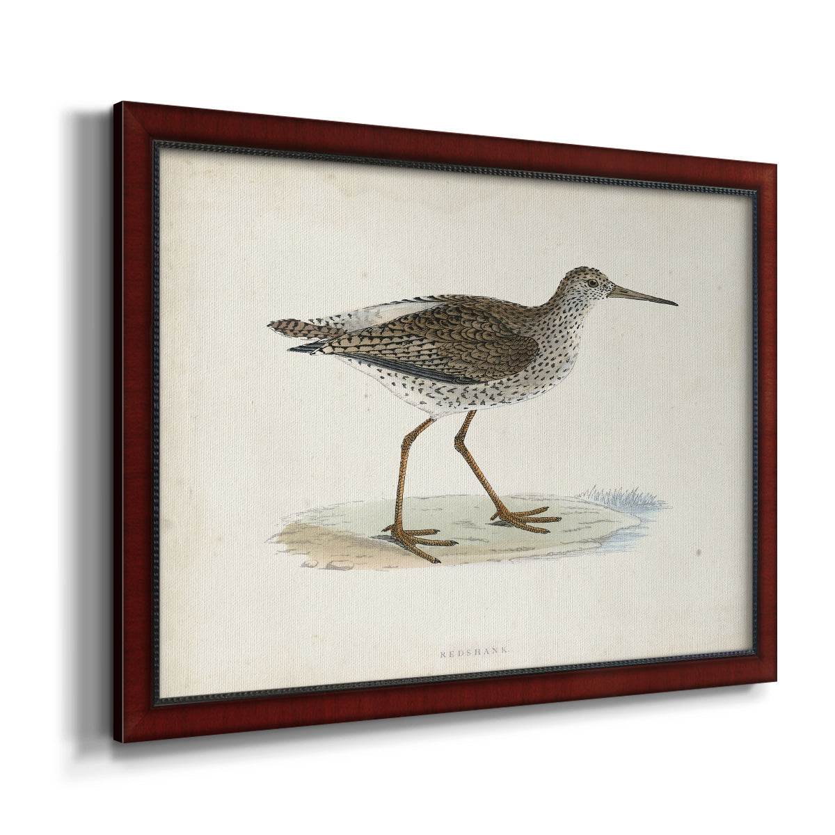 Morris Sandpipers V Premium Framed Canvas- Ready to Hang