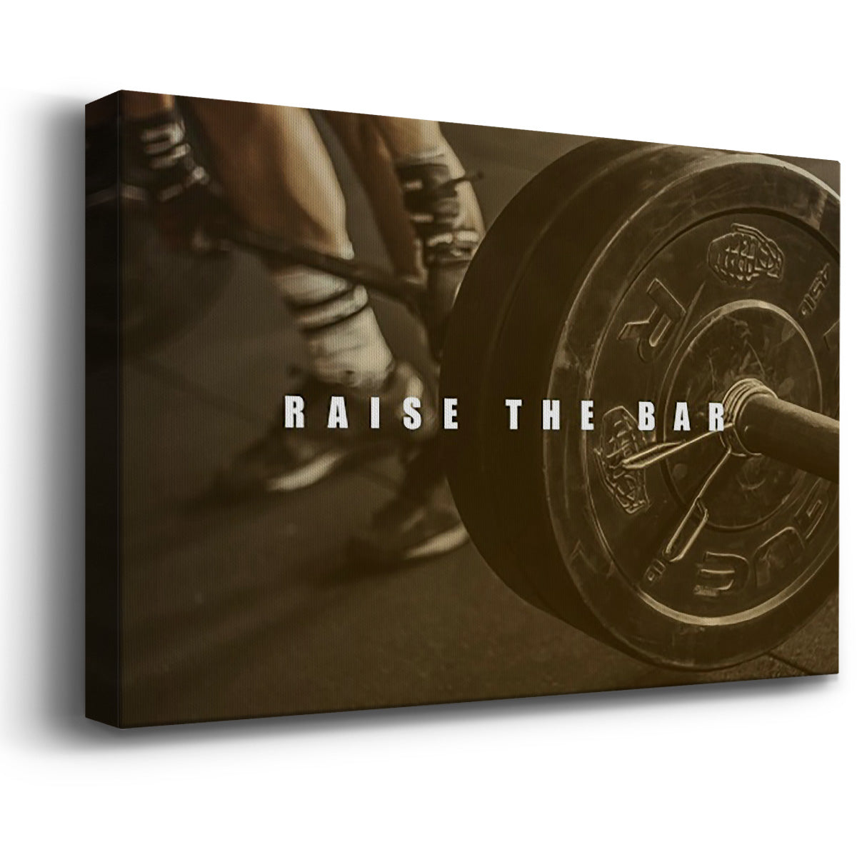 Bro-Inspo VI - Canvas Art Print