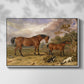 Portrait of Reformer, Blucher, Tory and Crib, Property of Rowland Alston, Esq., M.P., 1835 - Floater Framed Canvas Print