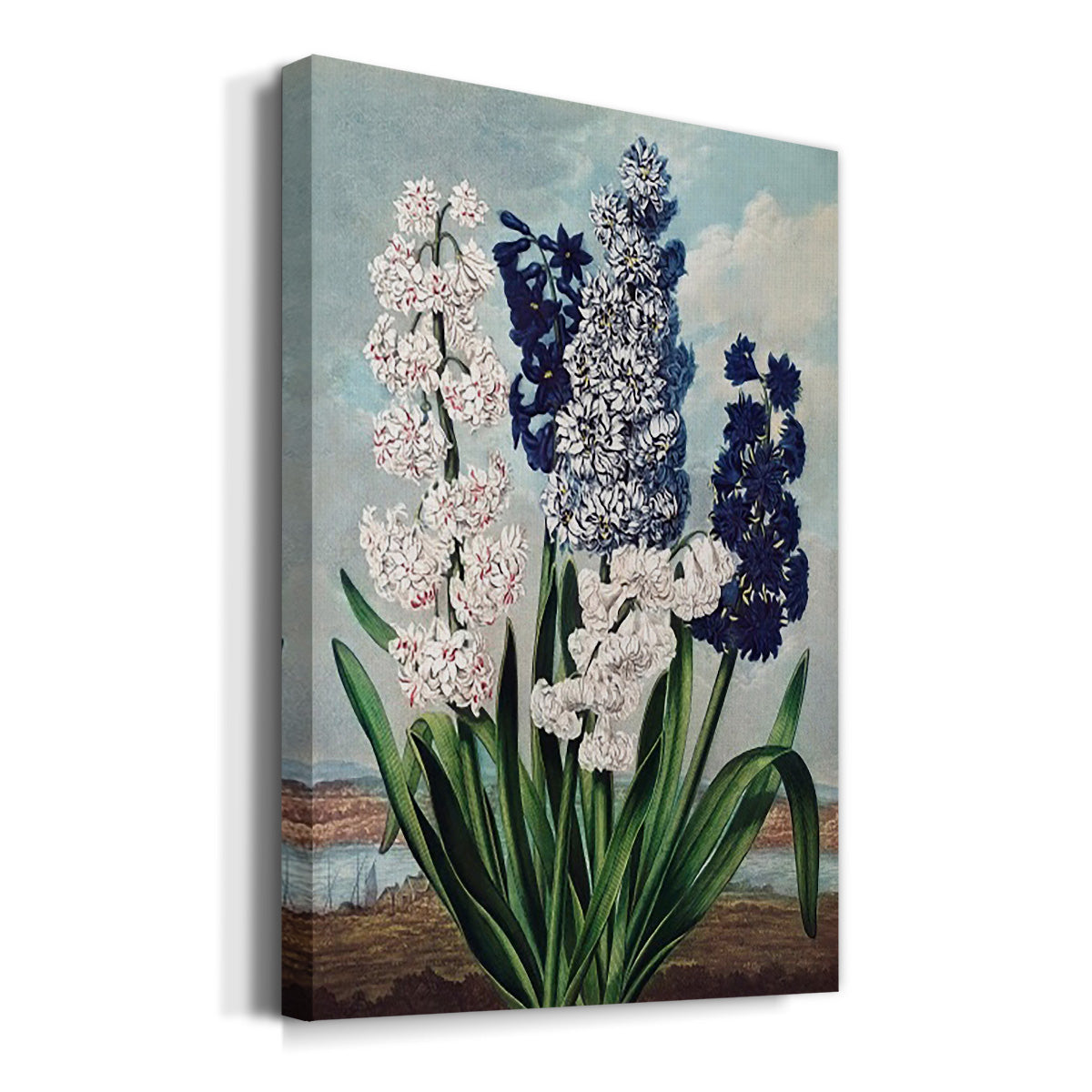 Temple of Flora XII - Canvas Art Print