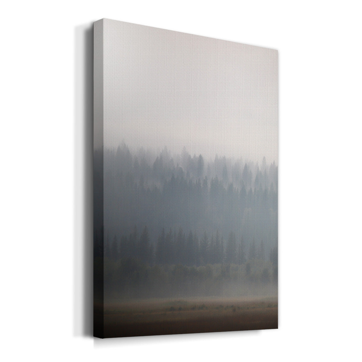 Morning Glow II Premium Gallery Wrapped Canvas - Ready to Hang