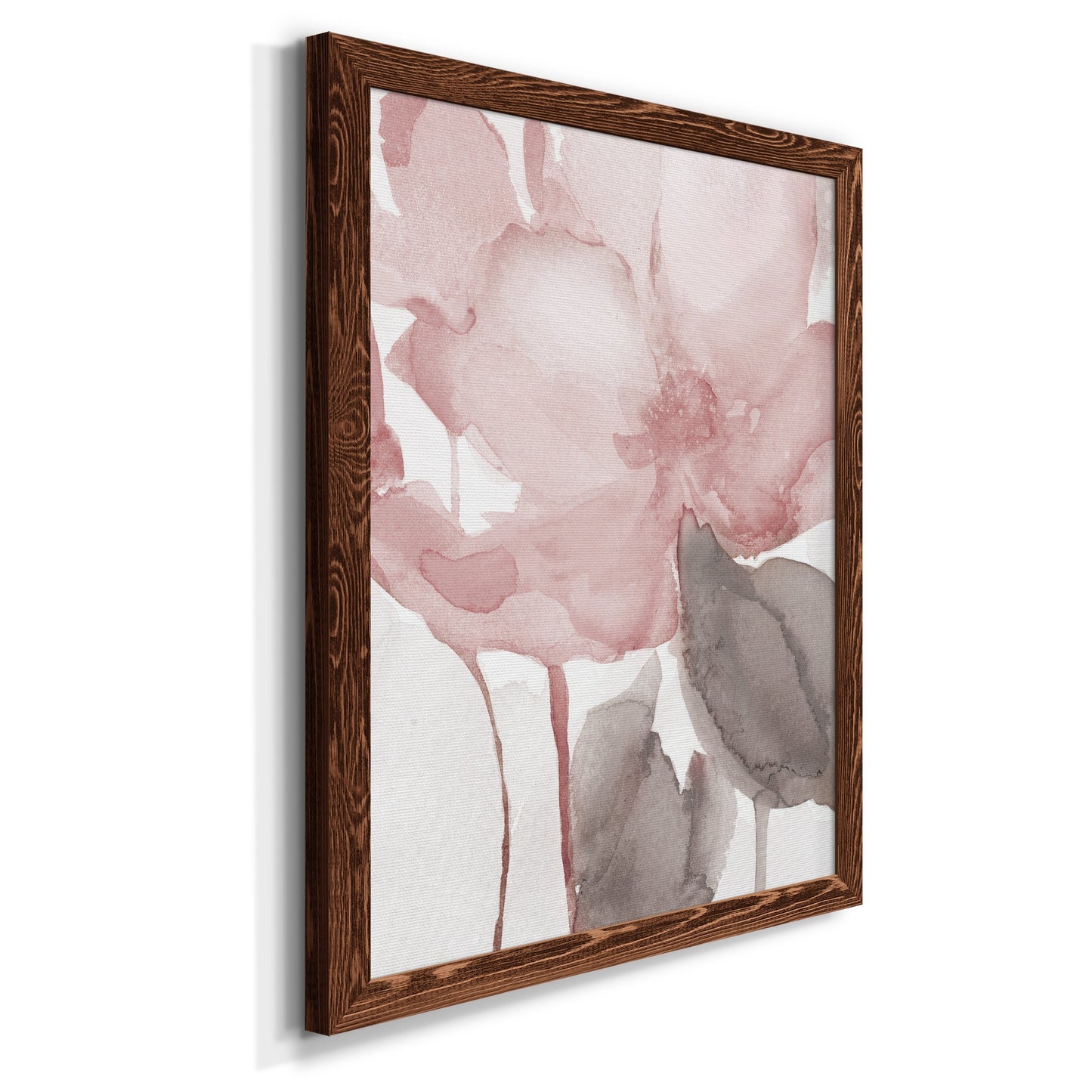 Blush Bloom II - Premium Canvas Framed in Barnwood - Ready to Hang