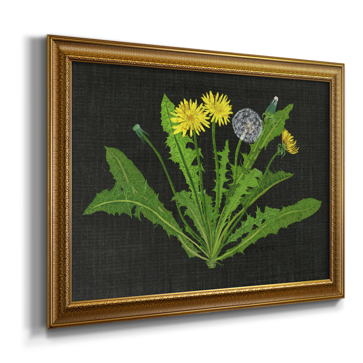 Wild Dandelion II Premium Framed Canvas- Ready to Hang