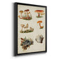Mushroom Species X - Modern Framed Canvas Print