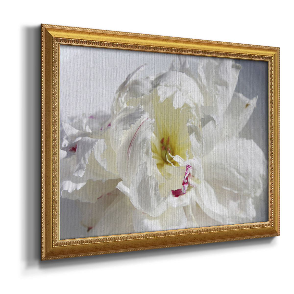 Breathless IV - Ornate Framed Canvas Print