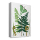 Fern Fantasy Garden I - Canvas Art Print